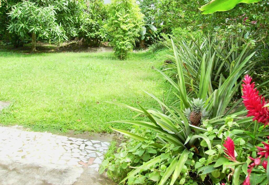 Diamondview Apartment Soufriere Ngoại thất bức ảnh