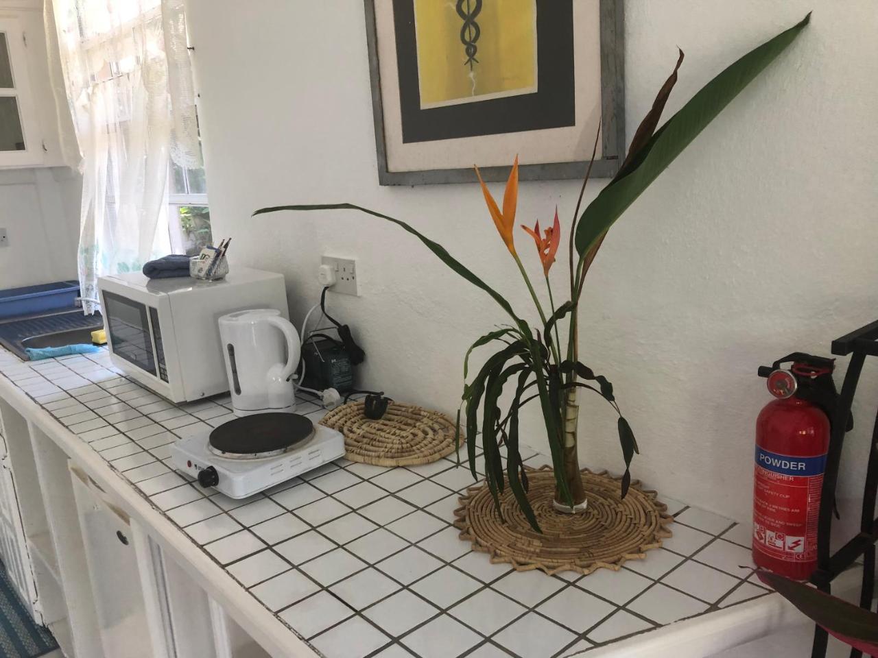 Diamondview Apartment Soufriere Ngoại thất bức ảnh