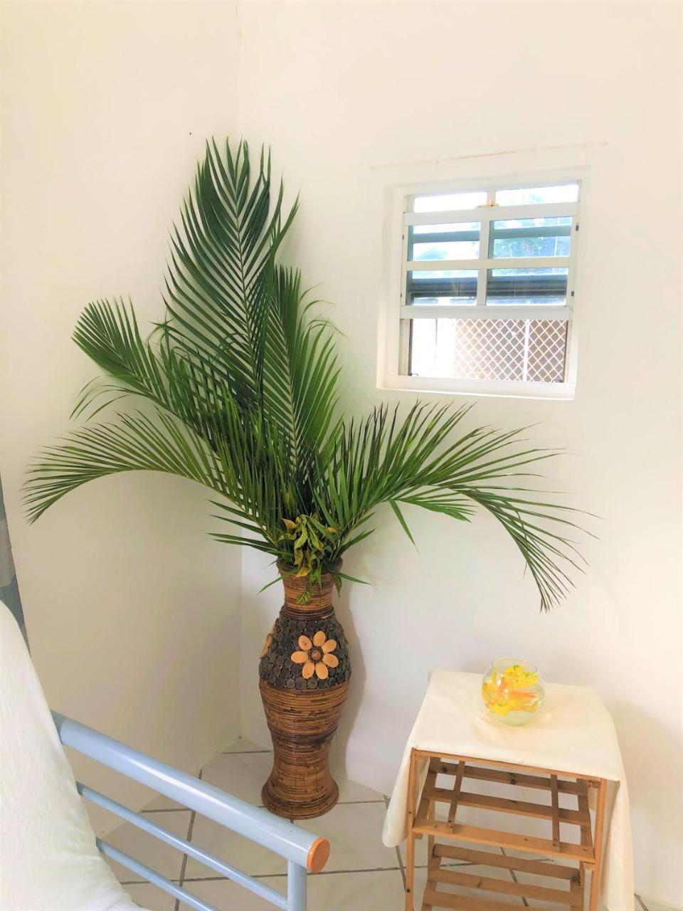 Diamondview Apartment Soufriere Ngoại thất bức ảnh