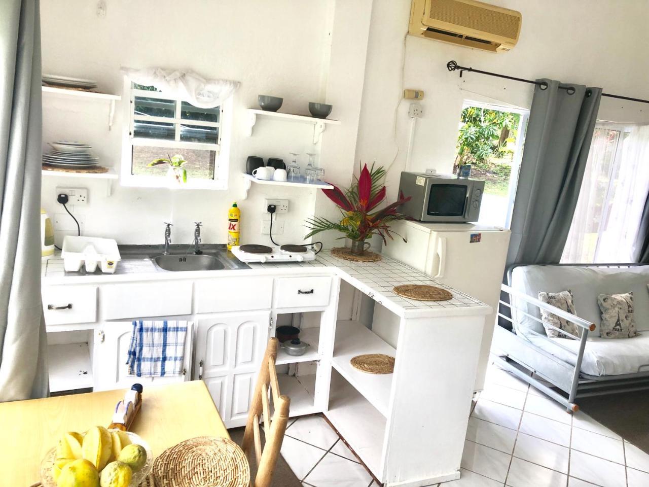 Diamondview Apartment Soufriere Ngoại thất bức ảnh