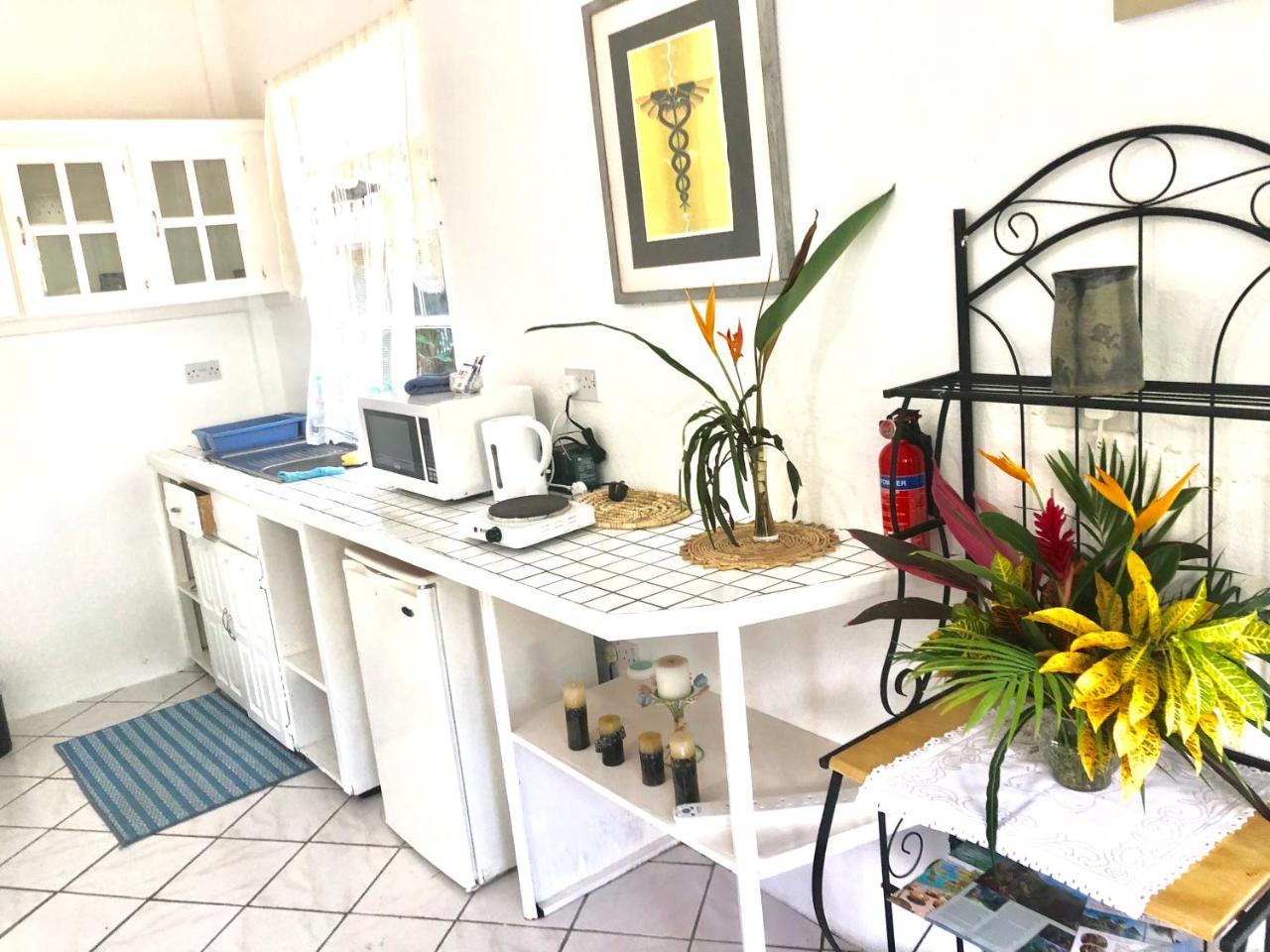Diamondview Apartment Soufriere Ngoại thất bức ảnh